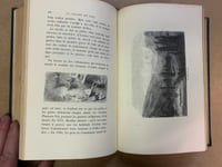 Voyage aux Pyrénées. Troisième édition illustrée par Gustave Doré