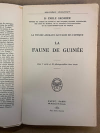 La faune de Guinée. La vie des animaux sauvagse de l’Afrique
