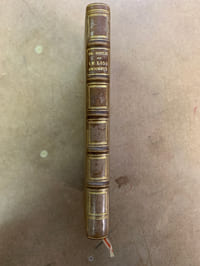 Le lion amoureux. Collection Roy. Petite Bibliothèque Omnibus illustrée 