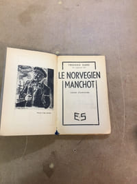 Le Norvégien manchot. Roman d’aventure 