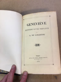 Genevieve. Histoire d’une servante