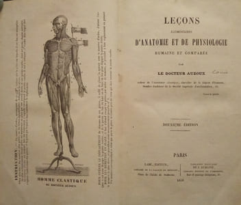 Leçons élémentaires D'Anatomie et de Physiologie Humaine et Comparée.