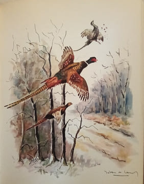 Les Classiques de la Chasse.. BLAZE-FOA-DIGUET,etc