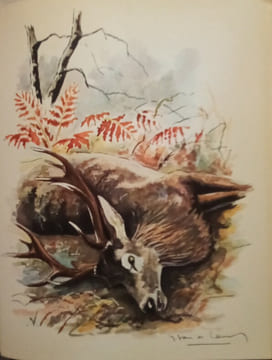 Les Classiques de la Chasse.. BLAZE-FOA-DIGUET,etc