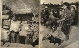 Guatemala.. HOPPENOT (Hélène)