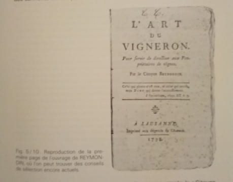 Biologie et écologie de la vigne.. HUGLIN (Pierre)