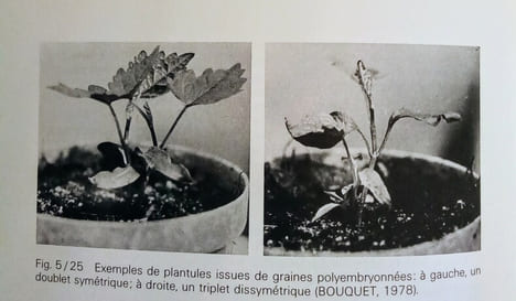 Biologie et écologie de la vigne.. HUGLIN (Pierre)
