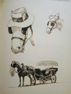 La PROVENCE - Types et Coutumes.. D'ARBAUD (Joseph) & (MARLIAVE (François de)