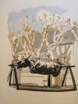 La PROVENCE - Types et Coutumes.. D'ARBAUD (Joseph) & (MARLIAVE (François de)