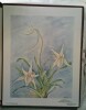 Orchidées- Mystèrieuses Splendeurs Indigènes.. LEMOINE (François)