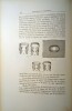 Principes et Technique de L'Obturation des Dents, par le Dr. C. N. Johnson.. JOHNSON (Le Dr. C. N.)