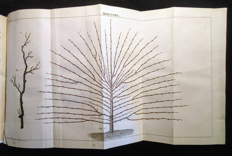 Traité de la Culture des Arbres Fruitiers.. FORSYTH (W.) & PICTET-MALLET (J.P.)