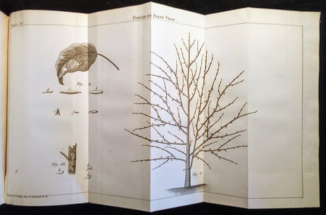 Traité de la Culture des Arbres Fruitiers.. FORSYTH (W.) & PICTET-MALLET (J.P.)