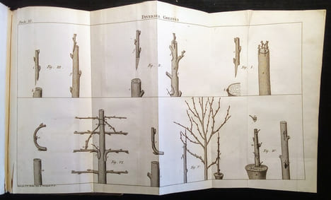 Traité de la Culture des Arbres Fruitiers.. FORSYTH (W.) & PICTET-MALLET (J.P.)