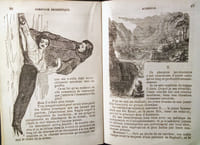 Almanach Prophétique, Pittoresque et Utile, pour 1859.