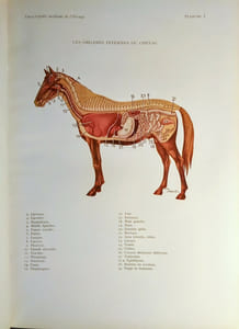 Encyclopédie Moderne de l'Élevage.