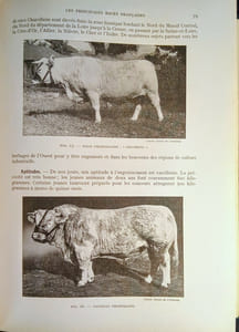 Encyclopédie Moderne de l'Élevage.