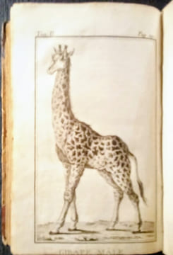 Voyage de Monsieur Le Vaillant dans l'intérieur de l'Afrique, par Le Cap de Bonne-Espérance, dans les Années 1780, 81, 82, 83, 84 & 85.. LE VAILLANT ...