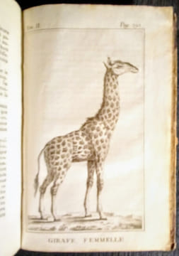Voyage de Monsieur Le Vaillant dans l'intérieur de l'Afrique, par Le Cap de Bonne-Espérance, dans les Années 1780, 81, 82, 83, 84 & 85.. LE VAILLANT ...