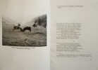 Les Batailles des Reines en Vall&eacute;e D'Aoste.. SALVATO (R.) & VIERIN (M.-D.)