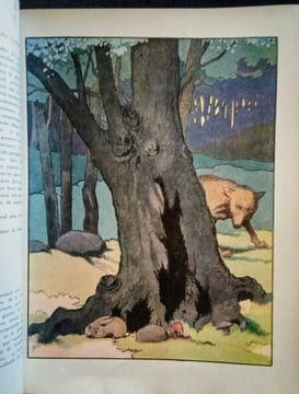 Le Buffon Choisi de Benjamin Rabier. (L'Homme – Animaux Sauvages – Oiseaux – Reptiles et Poissons.. BUFFON & RABIER (Benjamin)