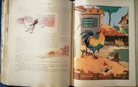 Le Buffon Choisi de Benjamin Rabier. (L'Homme – Animaux Sauvages – Oiseaux – Reptiles et Poissons.. BUFFON & RABIER (Benjamin)