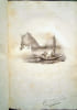 Dix huit (18) Partitions, avec musique grav&eacute;e et une lithographie de couverture.. LITHOGRAPHIE-18 PARTITIONS