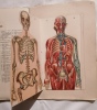 Atlas Anatomique, du Docteur Vernon.. VERNON (Docteur)