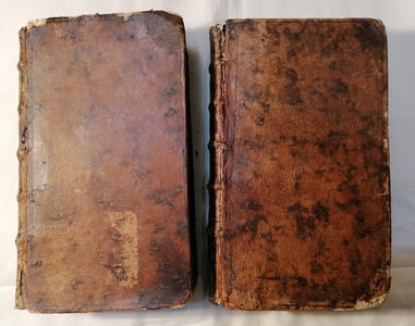 Dictionnaire des Alimens,