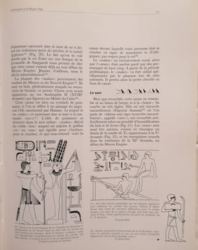 La Canne - Objet D' Art. Histoire.. DIKE (Cathérine) & BEZZAZ (Guy)