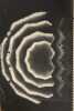 Théâtre Pigalle. Ses éclairages. Sa machinerie. KRULL GERMAINE  (1897-1985)