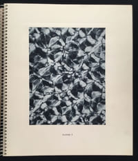 Micrographie Décorative