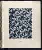 Micrographie D&eacute;corative. ALBIN  GUILLOT LAURE 1879 1962