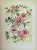 Caprices Décoratifs Des fleurs. HABERT-DYS  JULES AUGUSTE. (1850-1924)