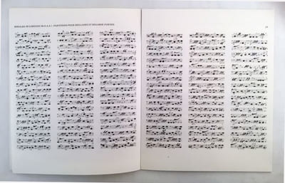 L'immédiate n° 23-24, printemps-été 1980