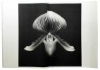 Colors : Tulips, Poppy, Slipper Orchid, Parrot Tulips, Proteail-makiage n°1, april 1988 seul paru.. MAPPLETHORPE ROBERT (1946-1989)