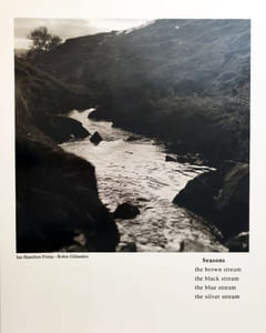 DEAR STIEGLITZ