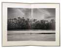 1 Bild (Palm Trees). FELDMANN HANS-PETER (1941-2023)