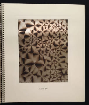 Micrographie Décorative. ALBIN GUILLOT LAURE 1879 1962