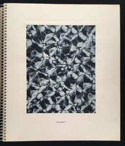 Micrographie Décorative