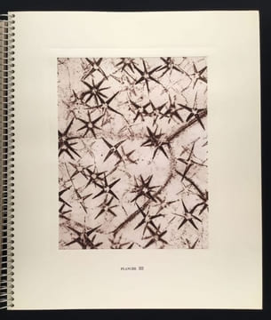 Micrographie Décorative. ALBIN GUILLOT LAURE 1879 1962