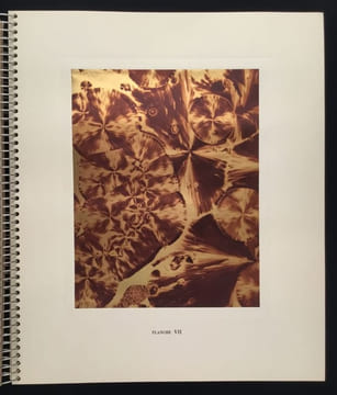 Micrographie Décorative. ALBIN GUILLOT LAURE 1879 1962