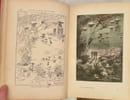 Vingt mille lieues sous les mers. JULES VERNE (1828-1905)