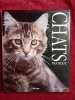 LES CHATS. DAVID TAYLOR