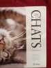 LES CHATS. DAVID TAYLOR