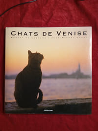 CHATS DE VENISE