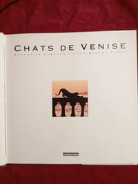 CHATS DE VENISE