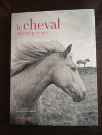LE CHEVAL EN CENT POEMES
