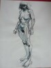 NU féminin. Miguel ALCALA