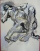NU féminin. Miguel ALCALA